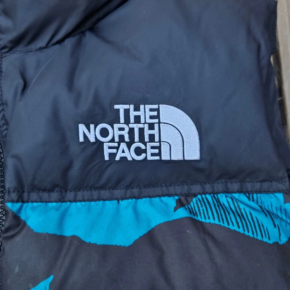 The North Face Mens Nuptse 1996 Retro 700 Down Vest Blue Mountain Print NF0A5IX5